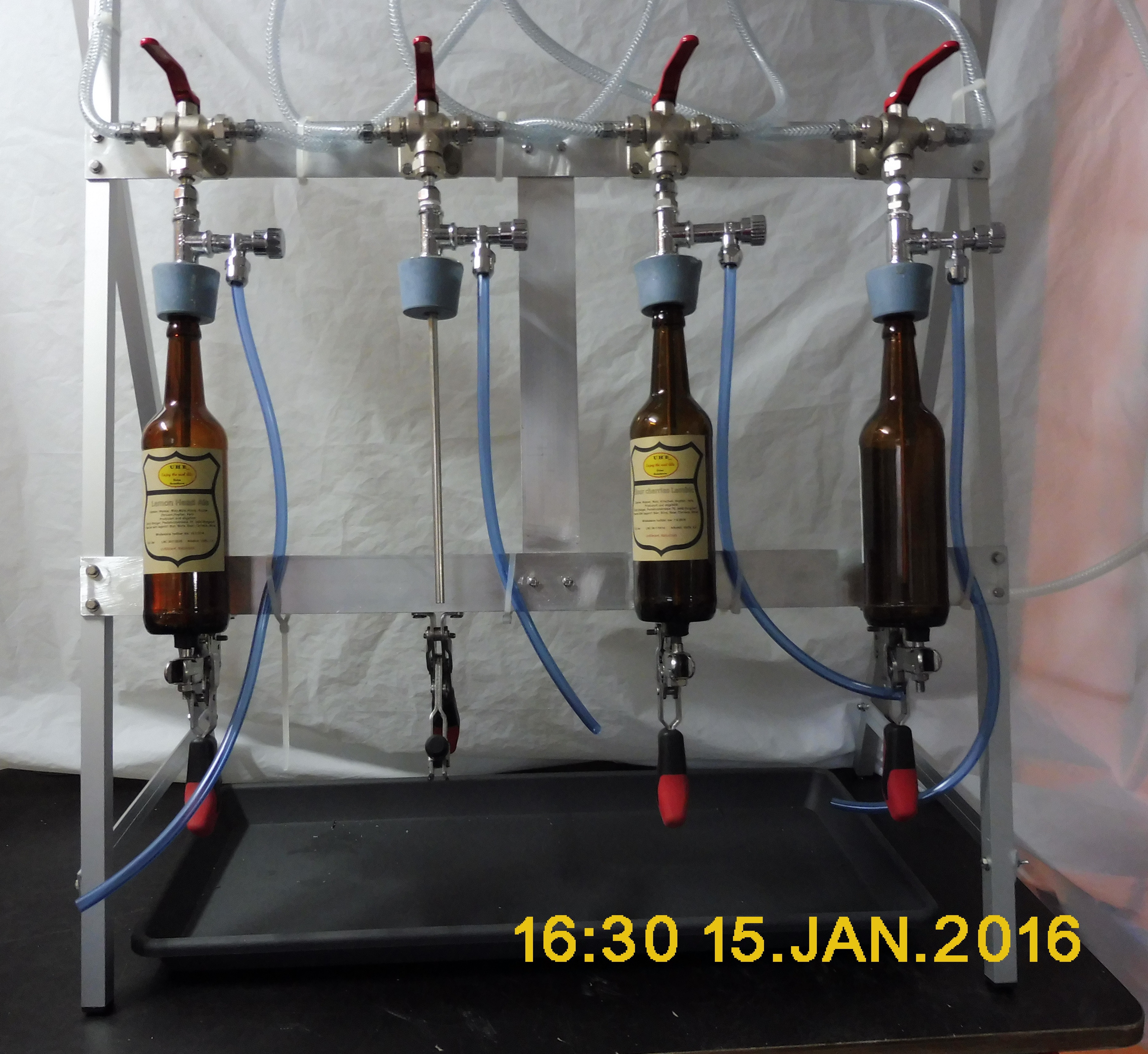 4-Kopf_F�ller-1